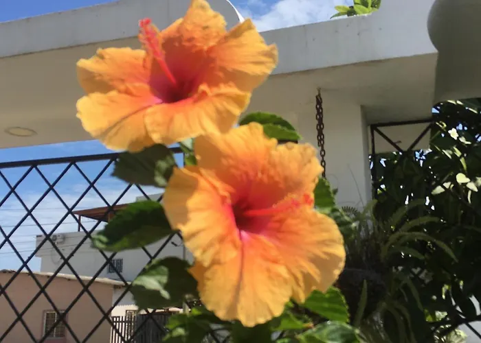 Estela, Habitacion Privada De Flor De Lis Beach House